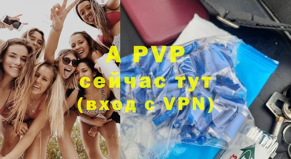 спайс Беломорск