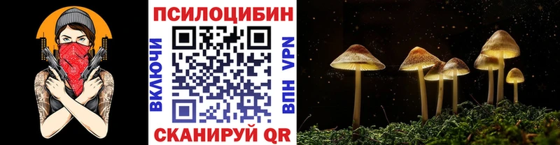купить наркоту мега Псилоцибиновые грибы Magic Shrooms Мариинский Посад